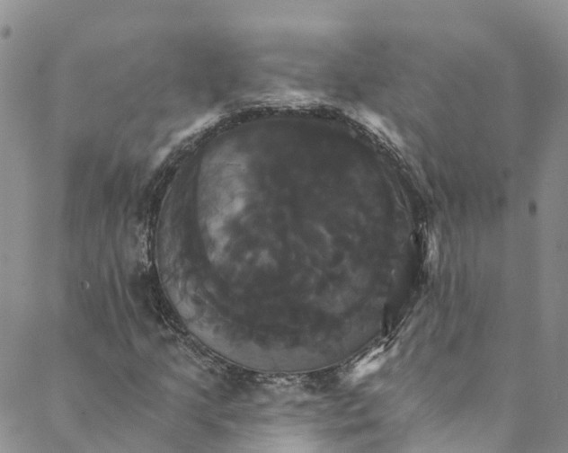 X0000088471205200706121521