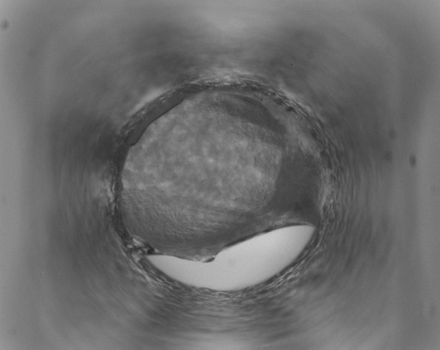 X0000088471206200706121521