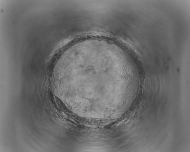 X0000088471207200706121521