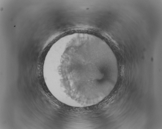 X0000088471208200706121521