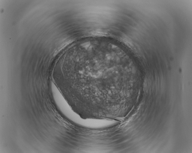 X0000088471209200706121521