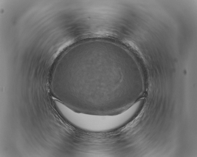 X0000088471210200706121521