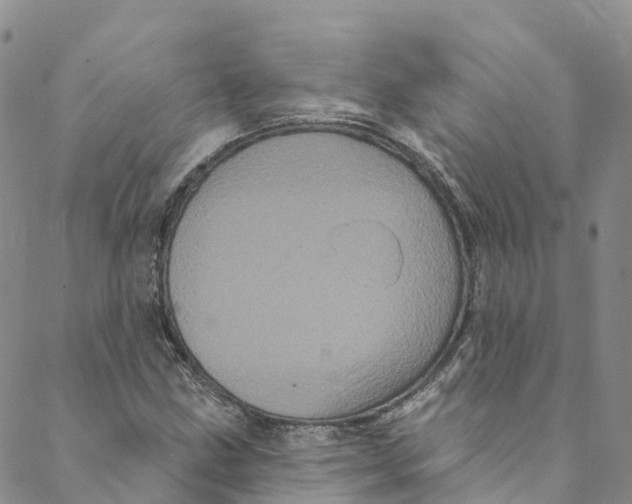 X0000088471211200706121521