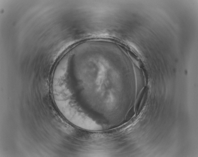 X0000088471212200706121521