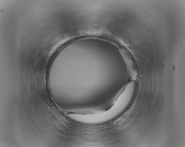 X0000088471214200706121521