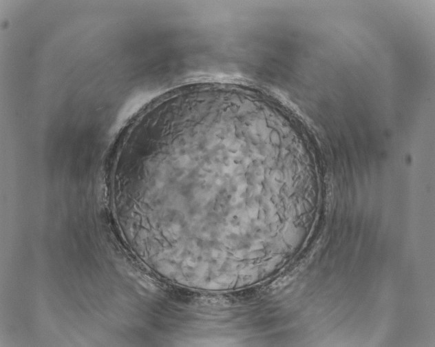 X0000088471215200706121521