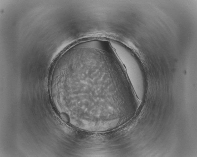 X0000088471216200706121521