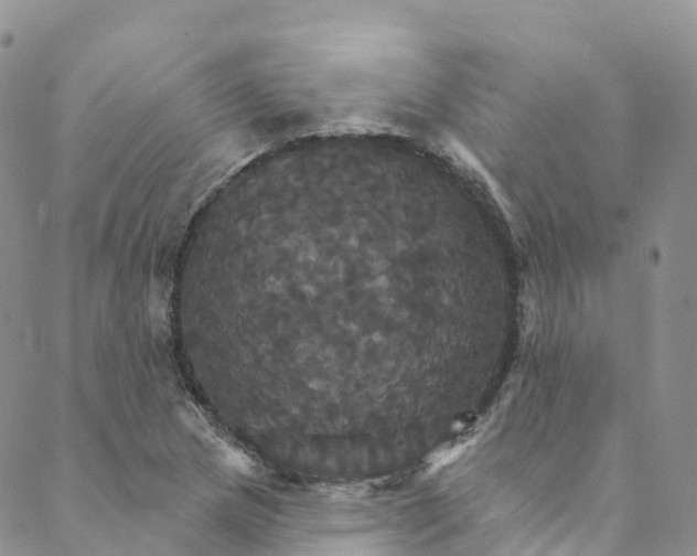 X0000088471217200706121521