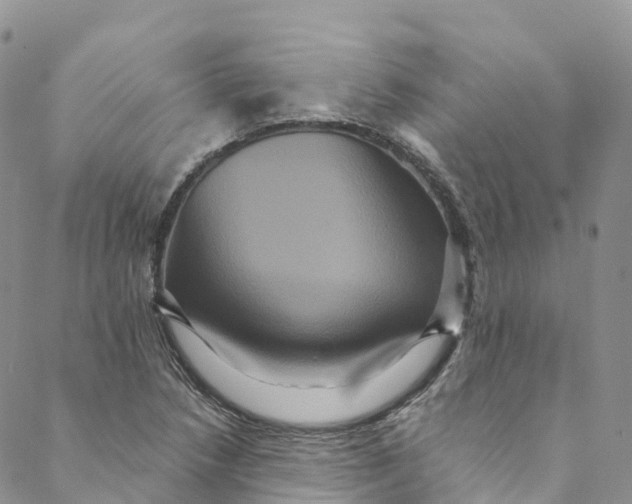 X0000088471218200706121521