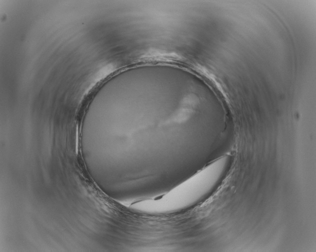 X0000088471219200706121521