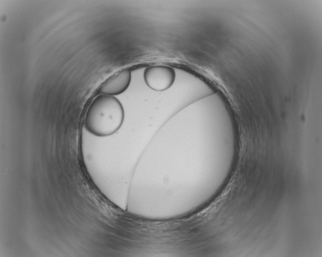 X0000088471220200706121521