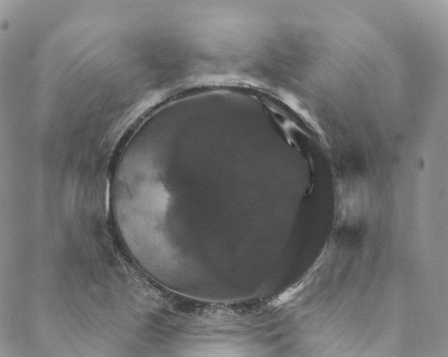 X0000088471221200706121521