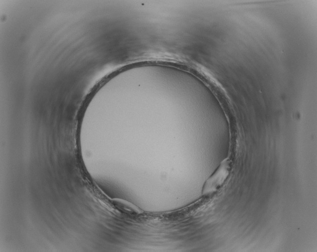 X0000088471222200706121521