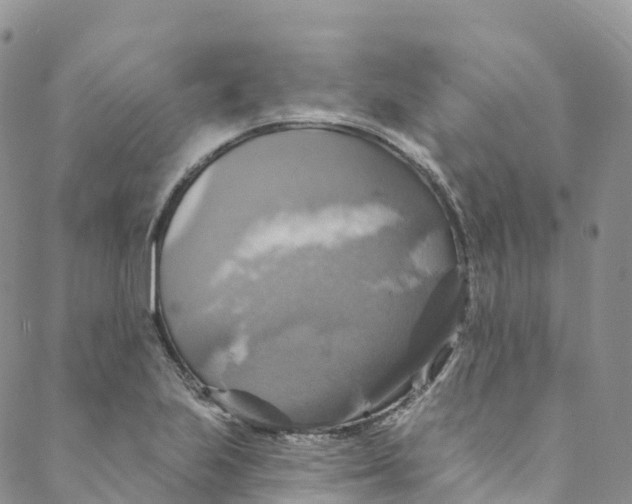 X0000088471223200706121521