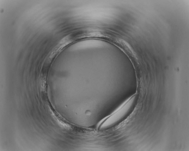 X0000088471225200706121521