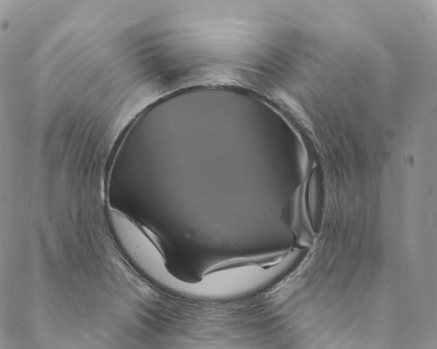 X0000088471226200706121521