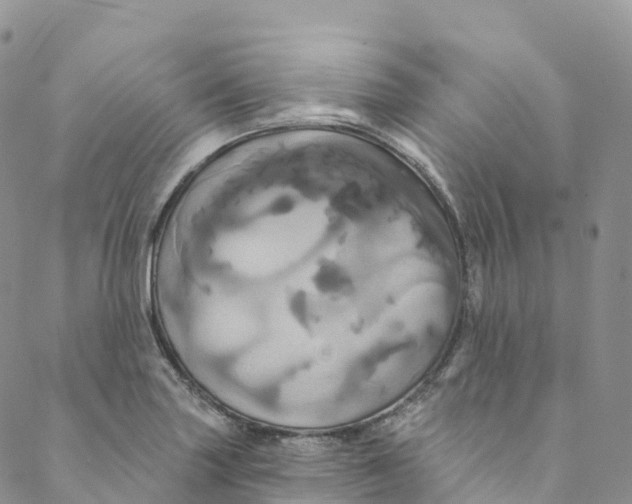 X0000088471227200706121521