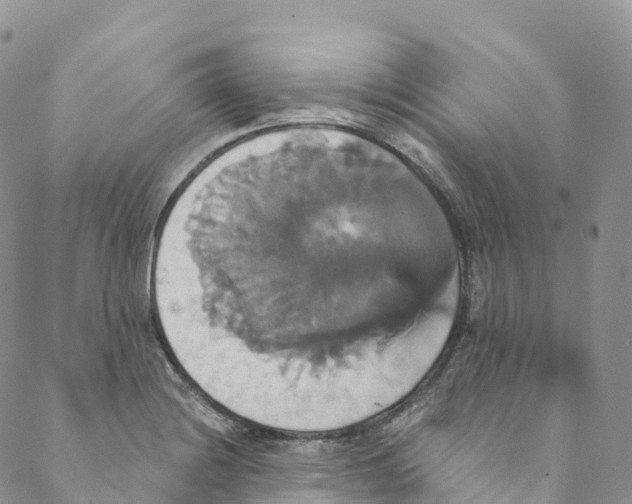 X0000088471228200706121521