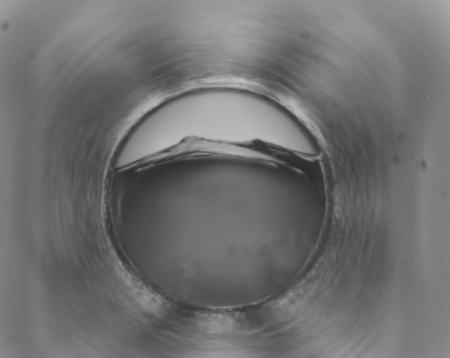 X0000088471229200706121521