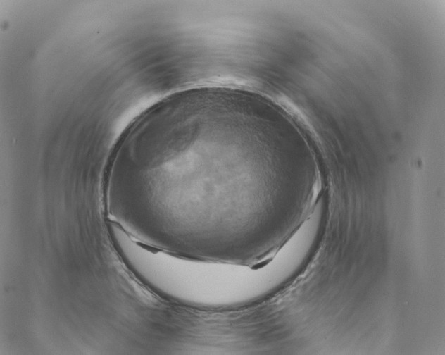 X0000088471230200706121521