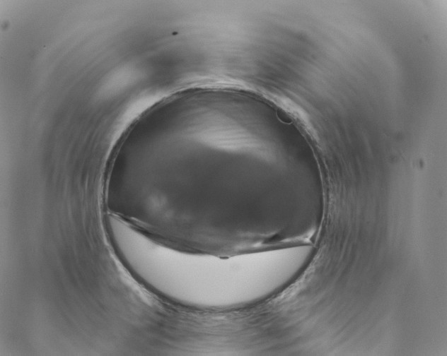 X0000088471231200706121521