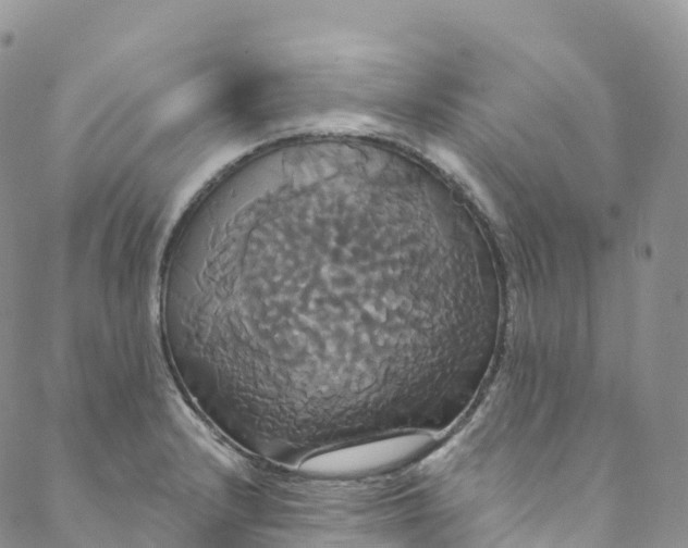 X0000088471232200706121521