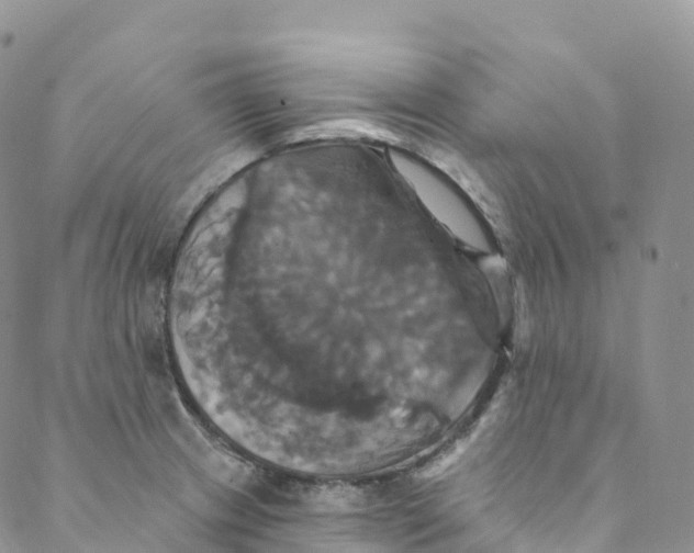 X0000088471233200706121521