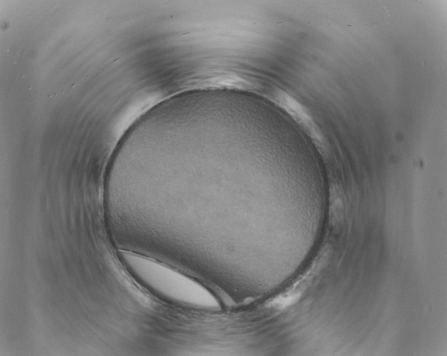 X0000088471234200706121521