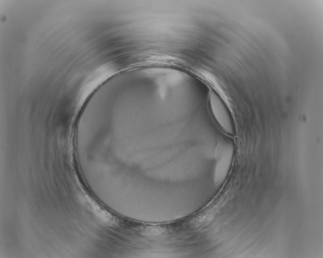 X0000088471235200706121521