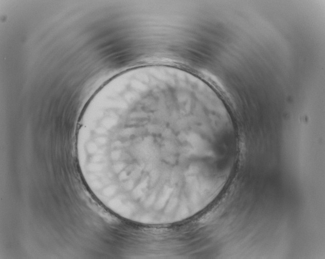 X0000088471236200706121521