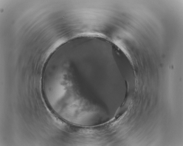 X0000088471237200706121521