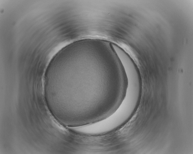 X0000088471238200706121521