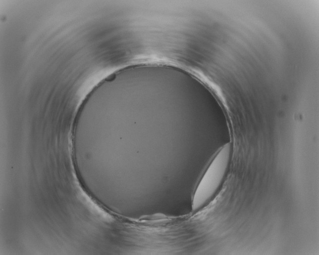 X0000088471239200706121521