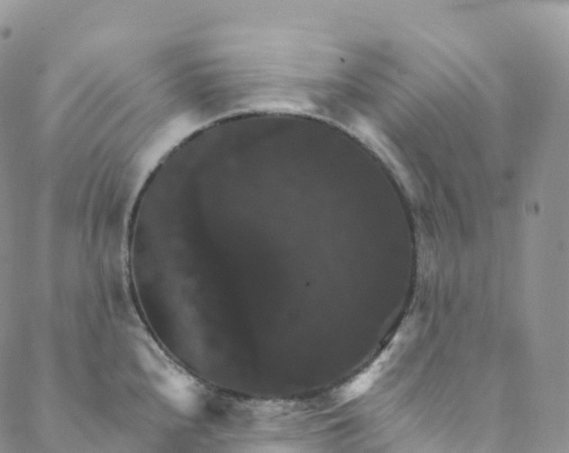 X0000088471240200706121521