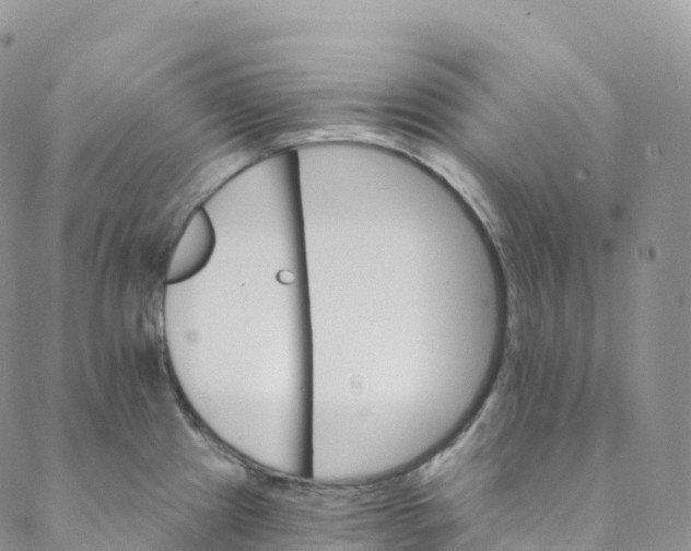 X0000088471241200706121521