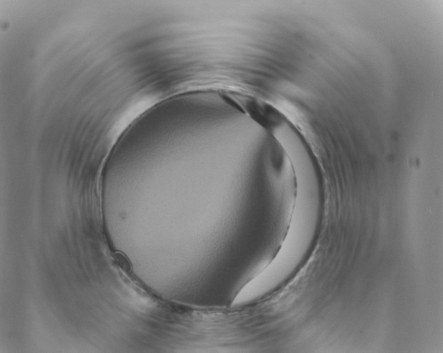 X0000088471242200706121521