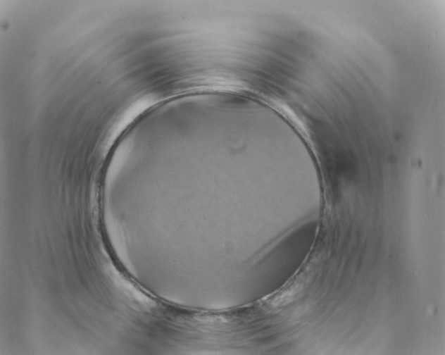 X0000088471243200706121521