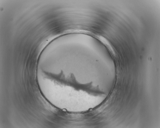 X0000088471244200706121521