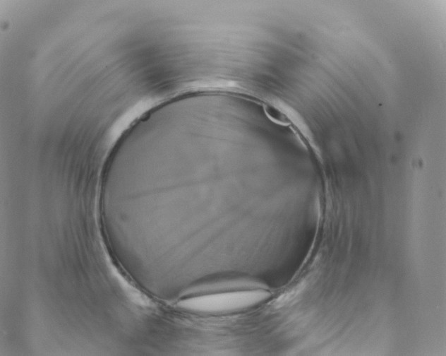 X0000088471245200706121521