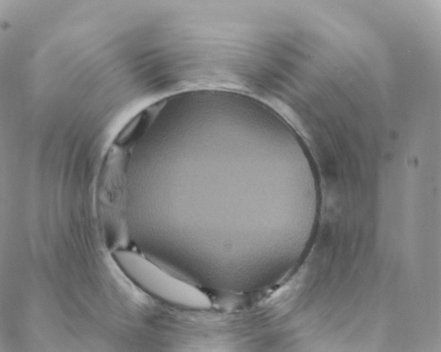 X0000088471246200706121521