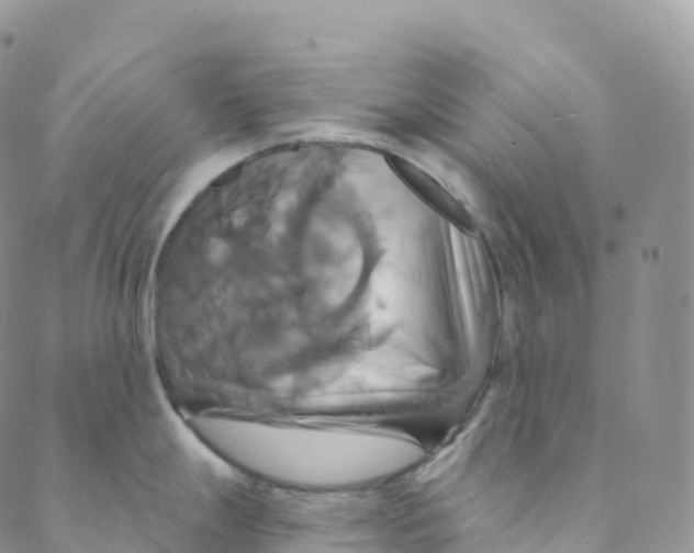 X0000088471247200706121521