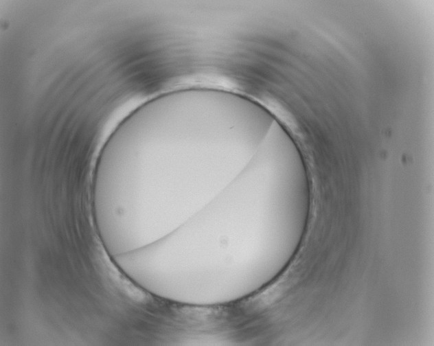 X0000088471248200706121521