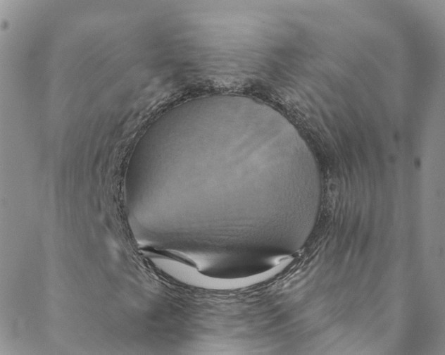 X0000088471249200706121520