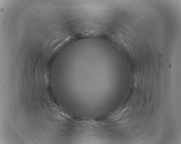 X0000088471250200706121520