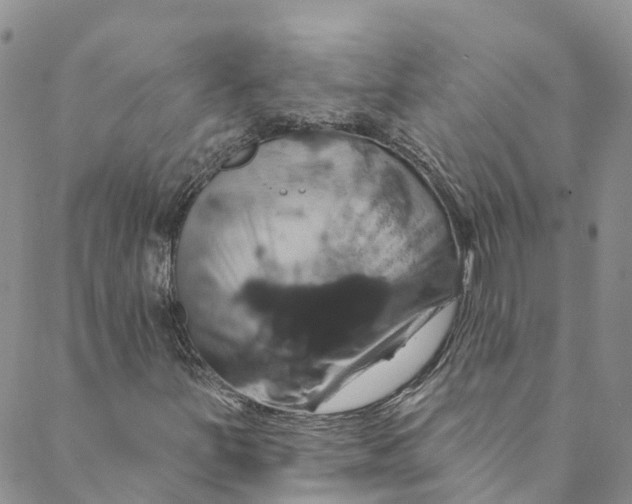 X0000088471251200706121520