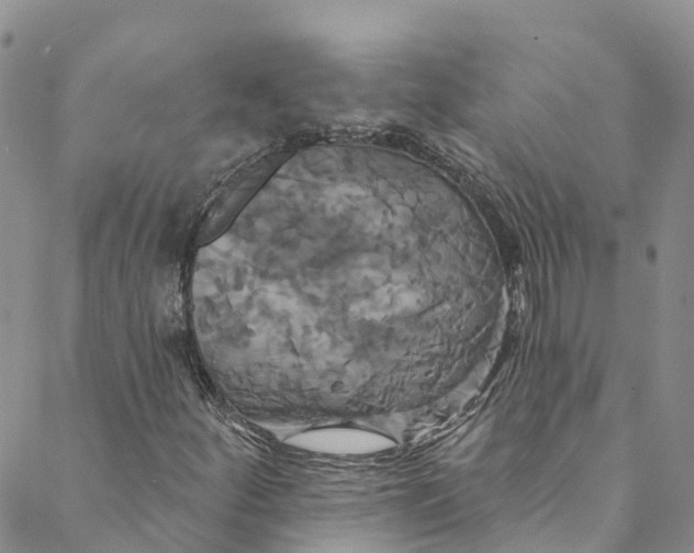 X0000088471252200706121520