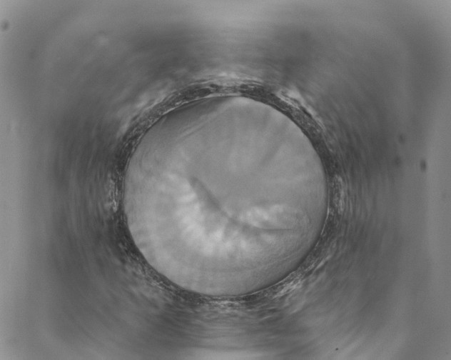 X0000088471253200706121520