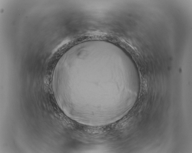 X0000088471254200706121520