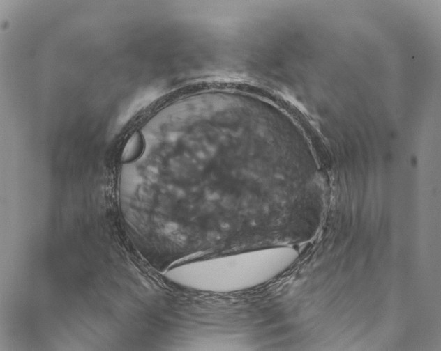 X0000088471255200706121520