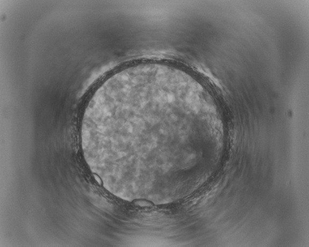 X0000088471256200706121520